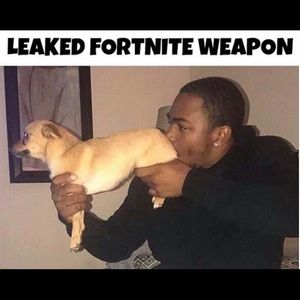 Meet your Posher, Ayden